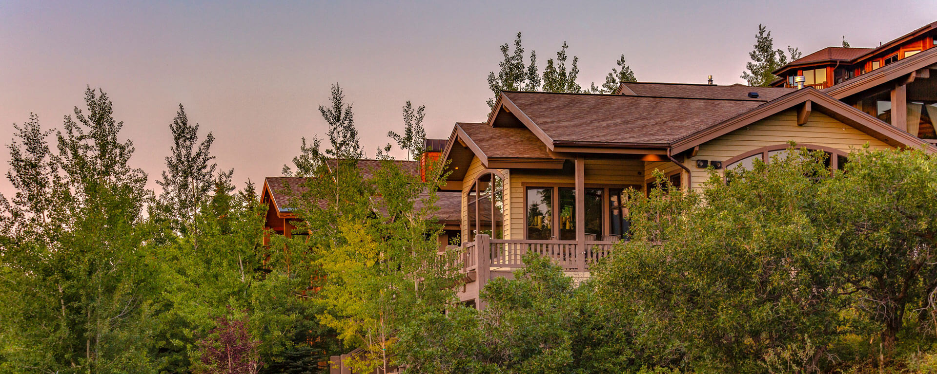 Luxury cabin homes set amongst trees.