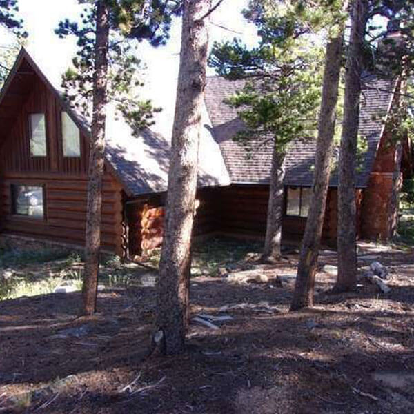 Mountain log cabin in a forest.